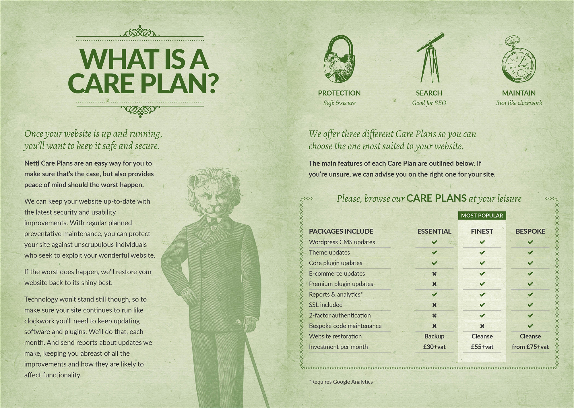 Nettl & Hyphen Care Plan to maintain your website are part of the Pay Monthly Website Packages