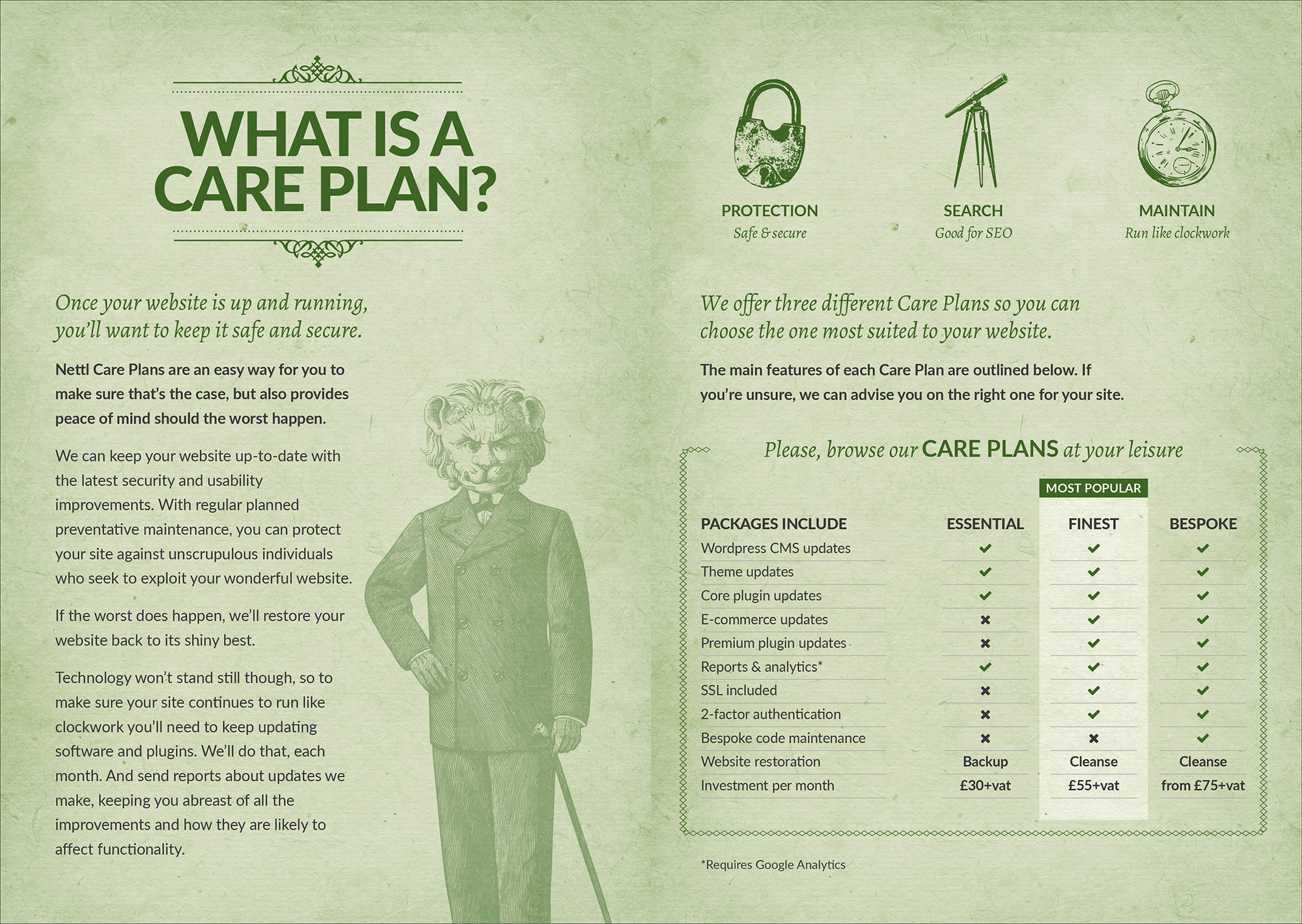 Nettl & Hyphen Care Plan to maintain your website